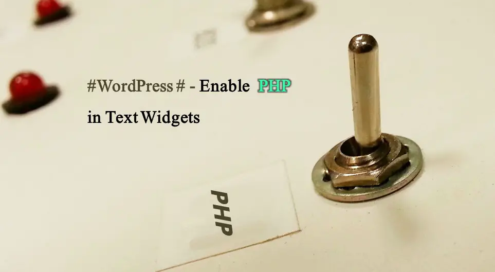 Enable PHP In Text Widget