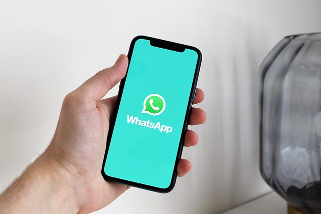 GB Whatsapp Features Smartphone Messaging App Download page